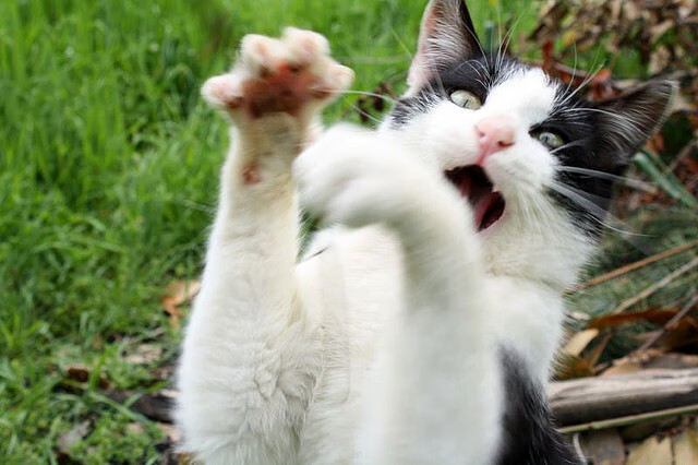 九游体育网站-体育产业融资环境优化，体育产业融合的效应与方式有哪些